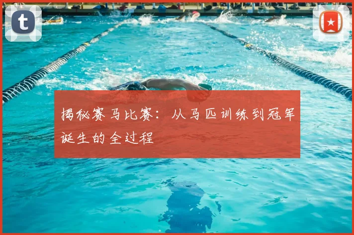 揭秘赛马比赛:从马匹训练到冠军诞生的全过程